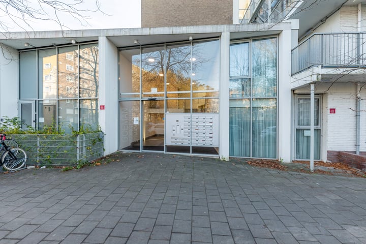 Bekijk foto 40 van Goeman Borgesiusstraat 4-E