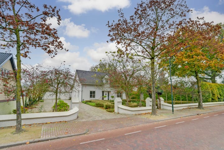 Foto 6 van Biestsestraat 74