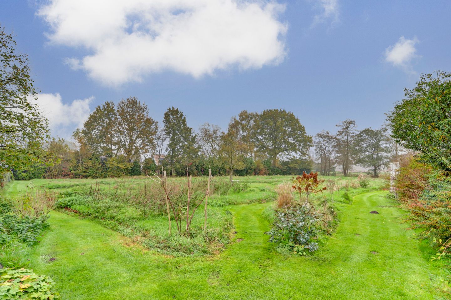 Foto 10 van Biestsestraat 74