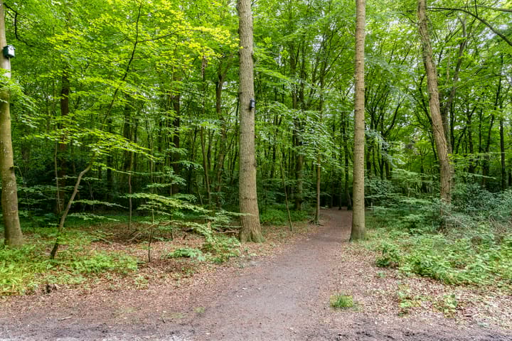 Foto 50 van Oosterweg 7-B