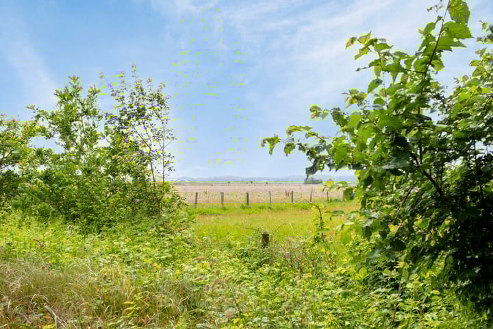 Foto 51 van Oosterweg 7-B