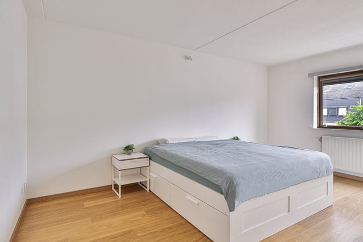 Foto 15 van Zandbaars 25