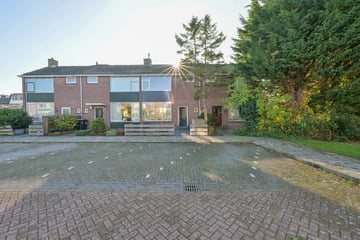 Orchisstraat thumbnail