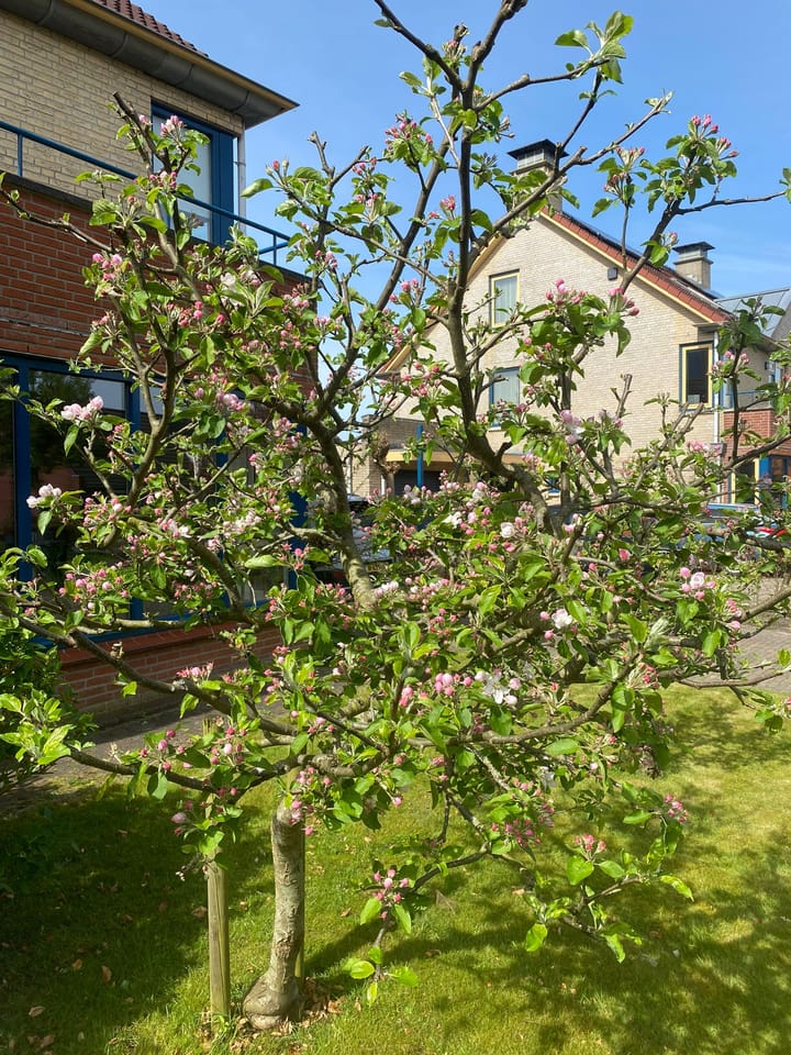 Foto 57 van Tuinmanslaan 18