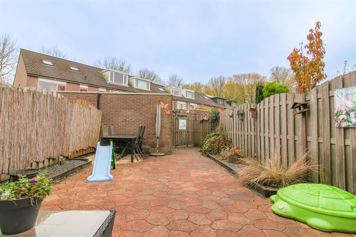 View photo 36 of Rietdekkerstraat 35