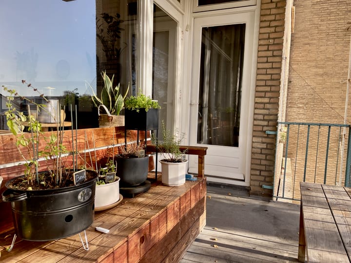 Foto 21 van Hofkampstraat 133