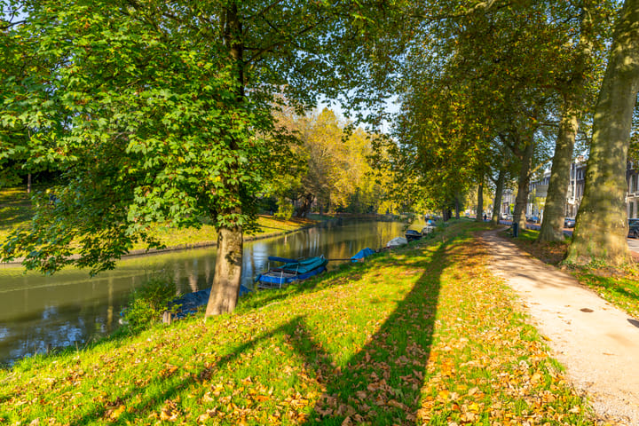 Foto 34 van Tolsteegsingel 47