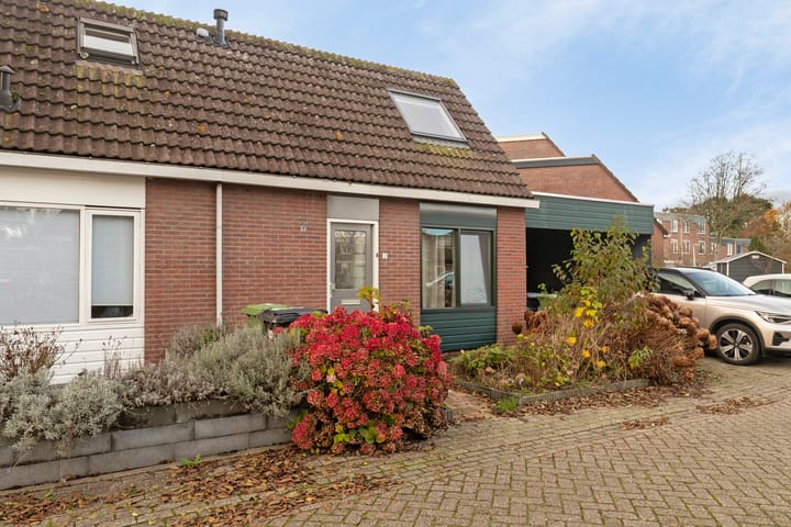 Foto 6 van Kweldergras 3