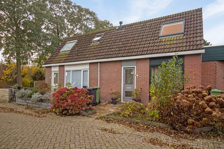 Foto 7 van Kweldergras 3