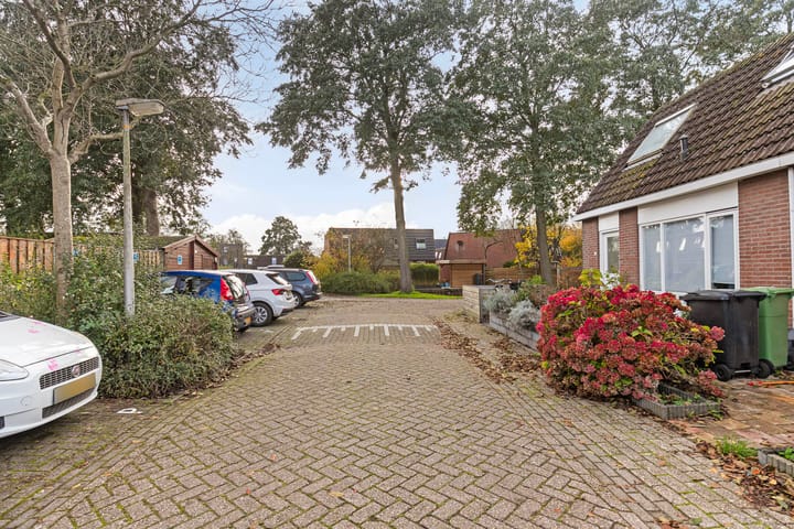 Foto 8 van Kweldergras 3