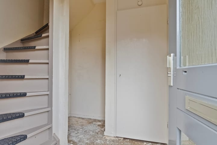 Foto 9 van Kweldergras 3