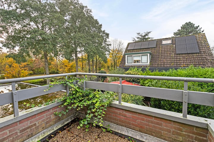 Foto 25 van Kweldergras 3