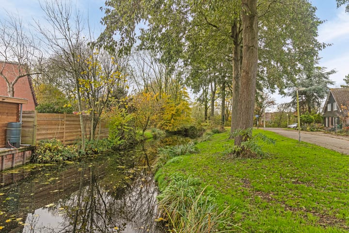 Foto 28 van Kweldergras 3