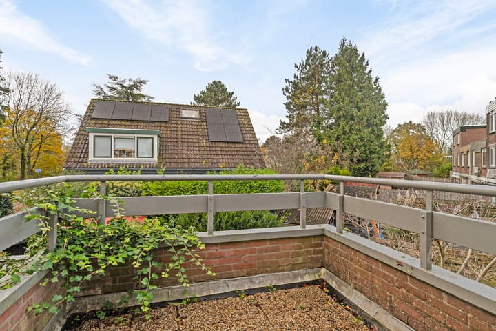 Foto 4 van Kweldergras 3