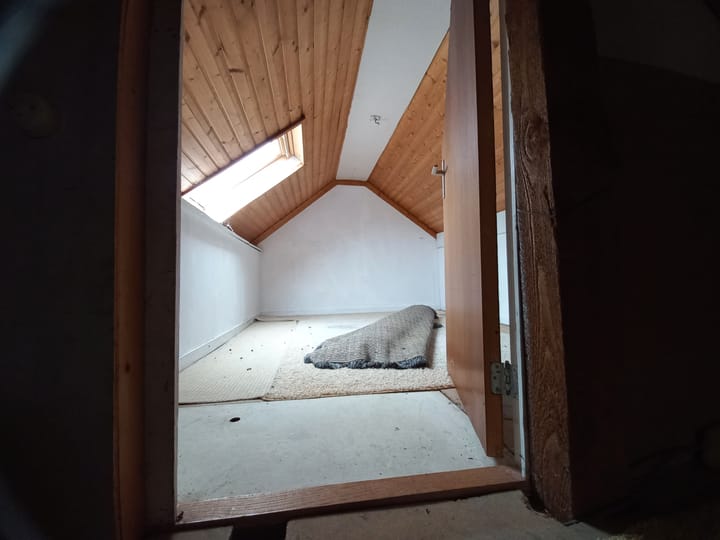 Foto 10 van van Leerodestraat 19