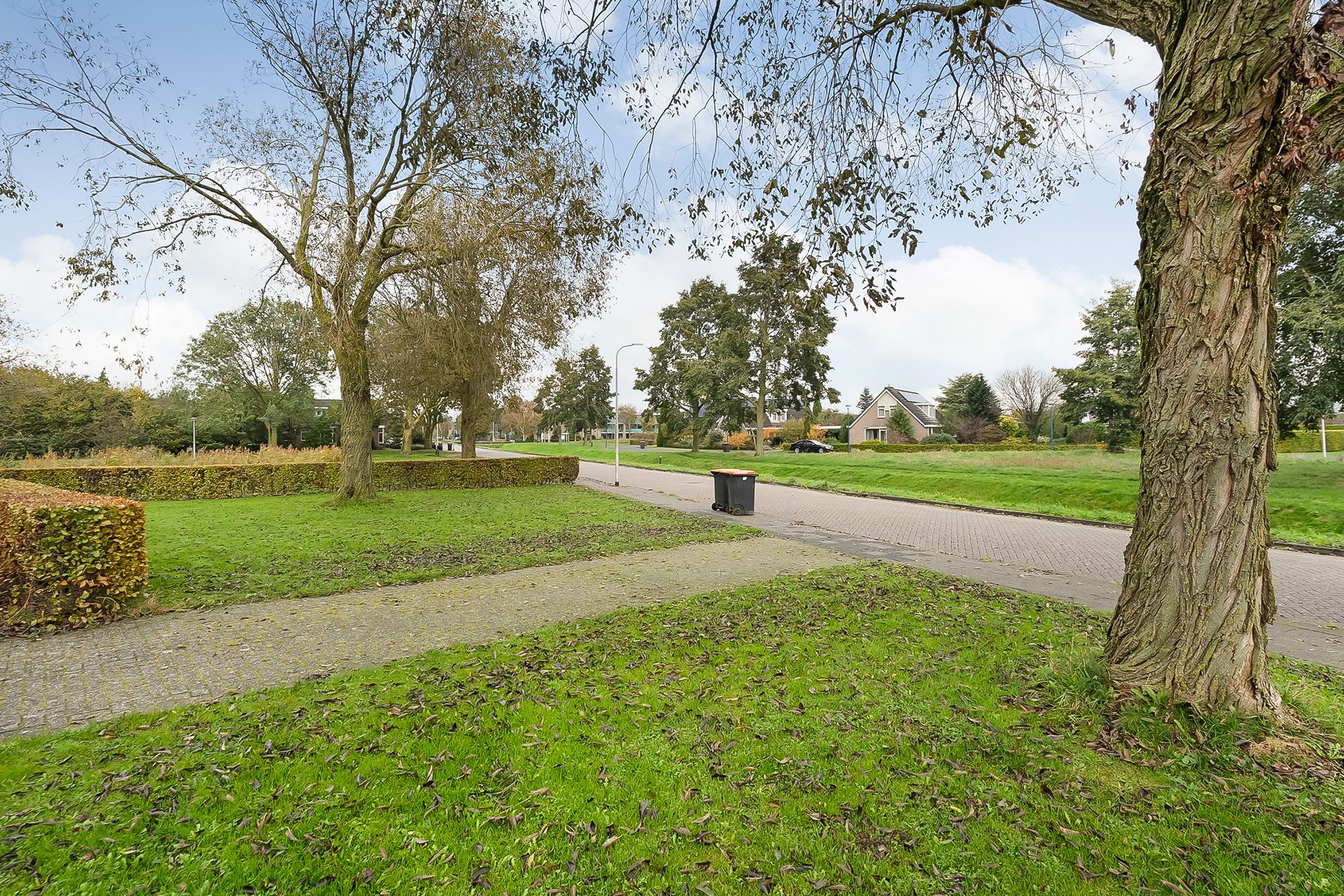 Foto 3 van Nieuwewijk 67