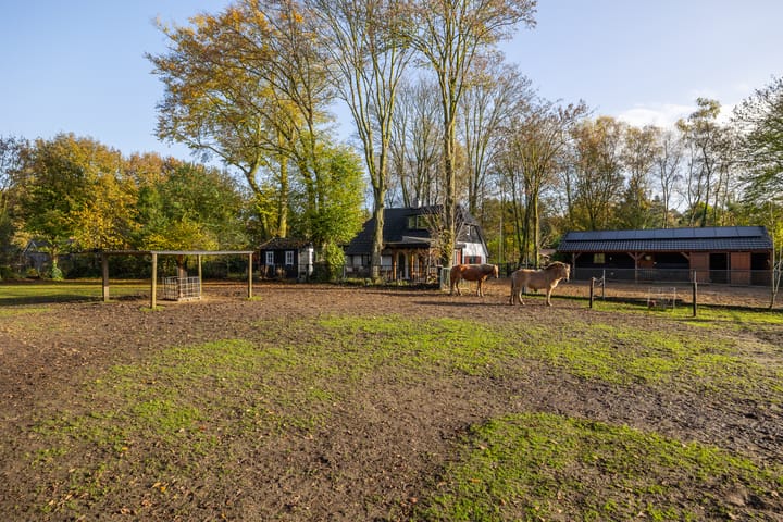 Foto 2 van Krachtighuizerkern 24