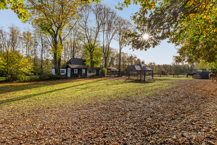 Foto 45 van Krachtighuizerkern 24