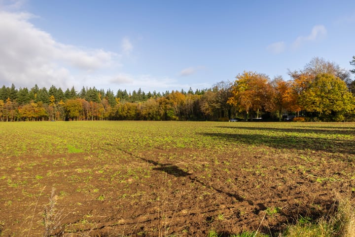 Foto 51 van Krachtighuizerkern 24