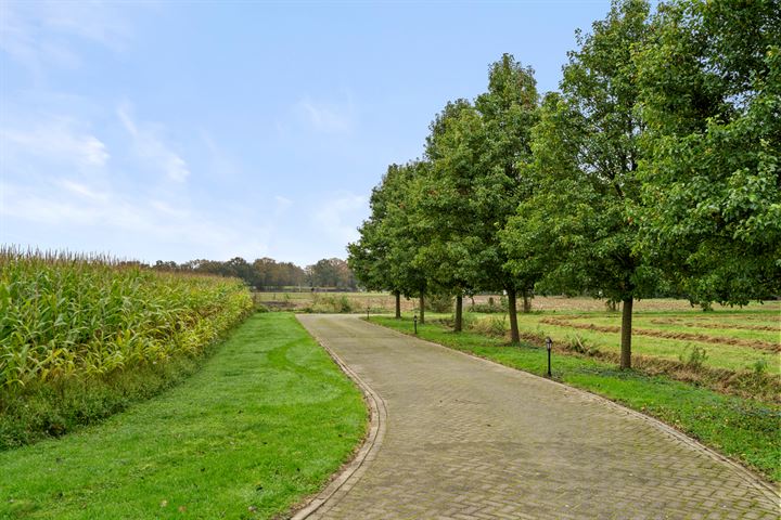 Bekijk foto 39 van Roekelseweg 35