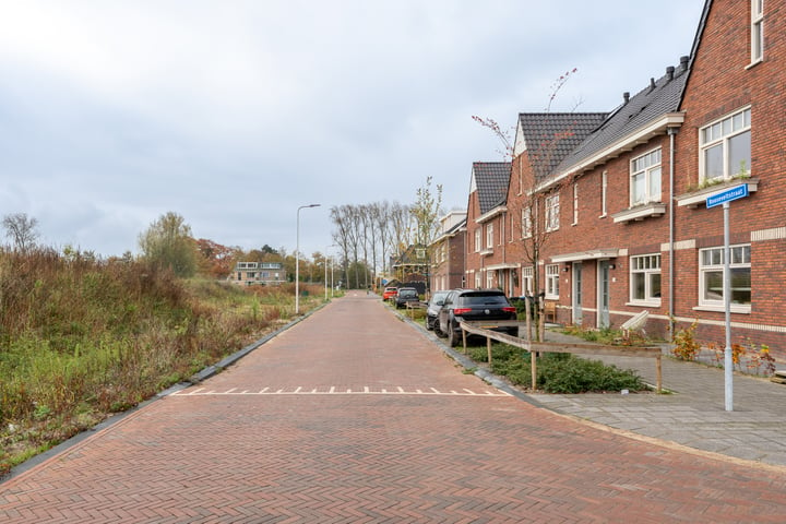 View photo 28 of Rooseveltstraat 52