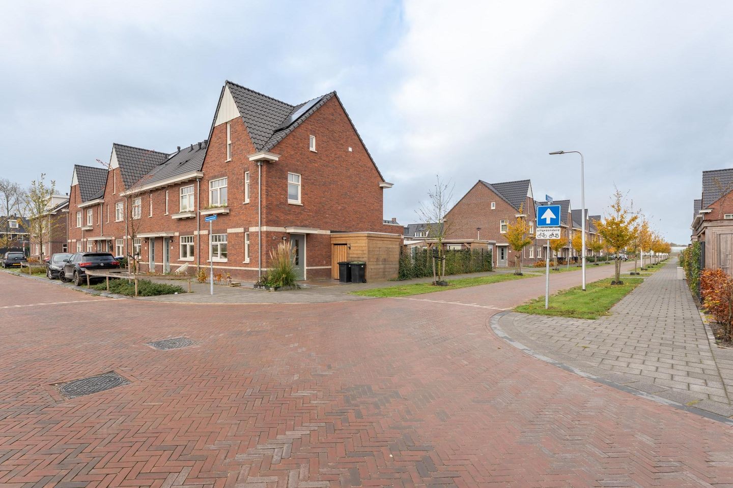 Photo 29 of Rooseveltstraat 52