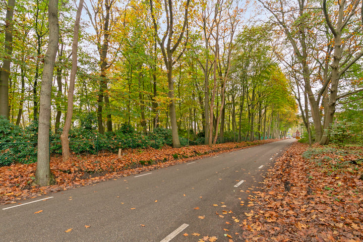 Bekijk foto 30 van Papegaaiweg 19