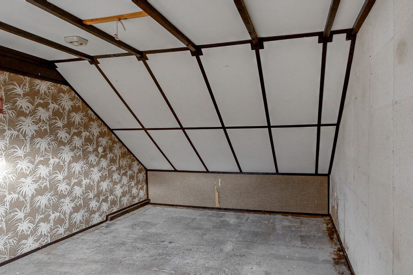 Foto 20 van Utrechtsestraat 5