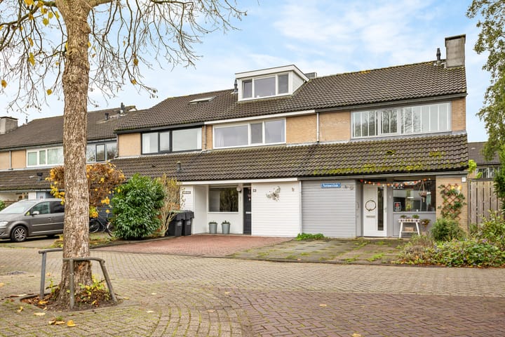 Photo 1 of Parelmoervlinder 4