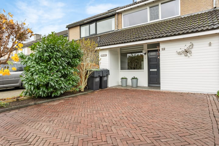 Photo 3 of Parelmoervlinder 4