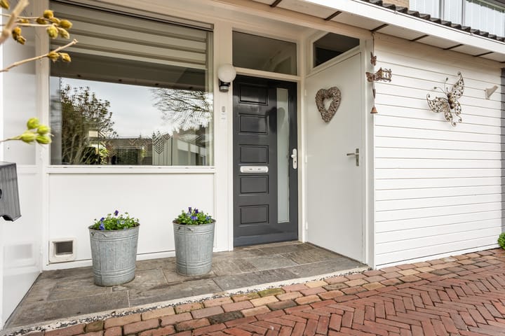 Photo 4 of Parelmoervlinder 4