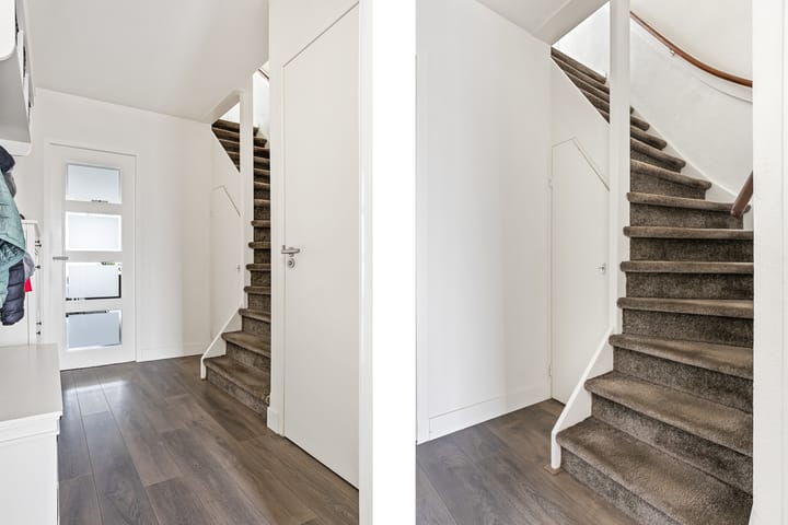 Photo 17 of Parelmoervlinder 4