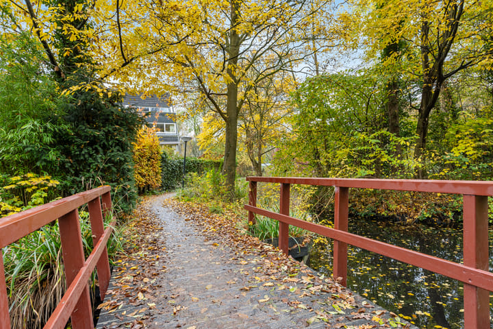 Photo 38 of Parelmoervlinder 4