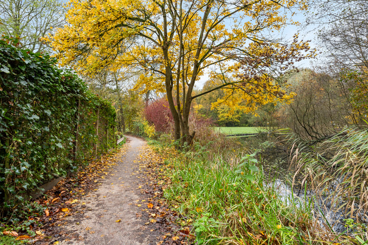 Photo 39 of Parelmoervlinder 4