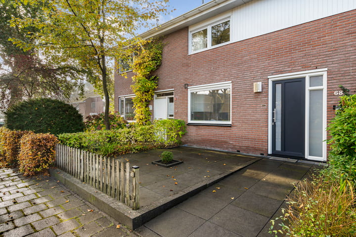 Foto 6 van Hasmanlanden 68