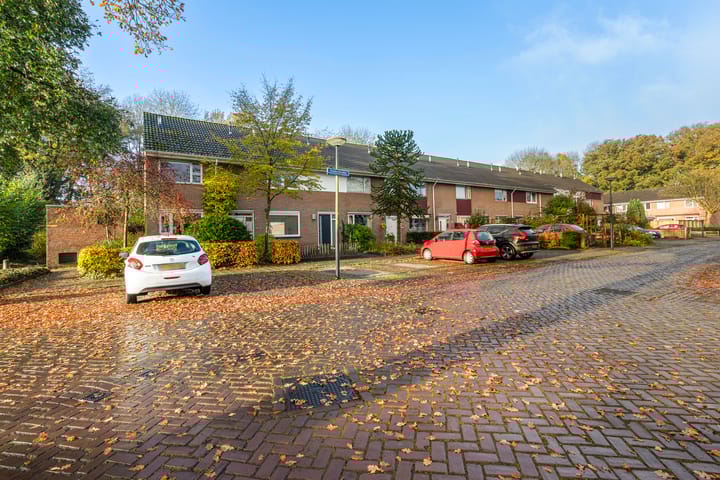 Foto 32 van Hasmanlanden 68