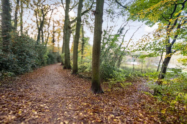 Foto 36 van Hasmanlanden 68