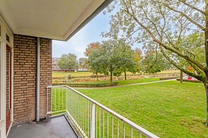 Foto 23 van van Reysstraat 81