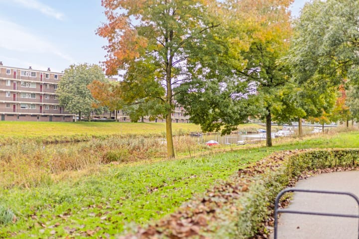 Foto 28 van van Reysstraat 81