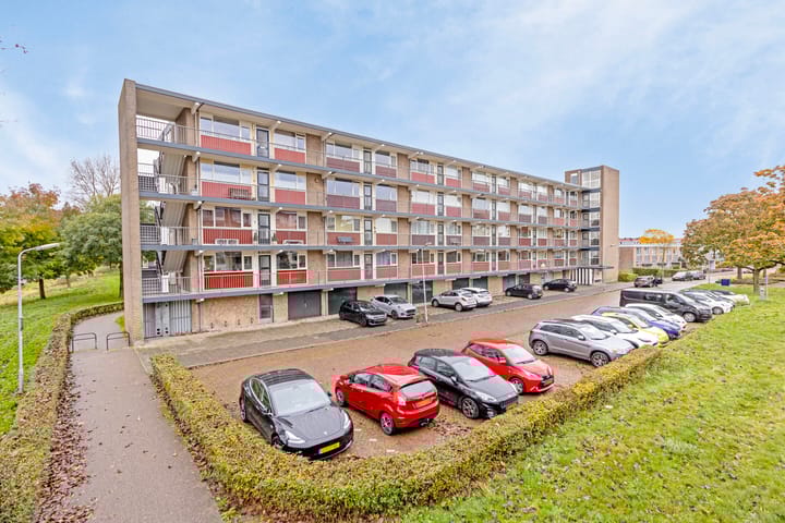 Foto 29 van van Reysstraat 81