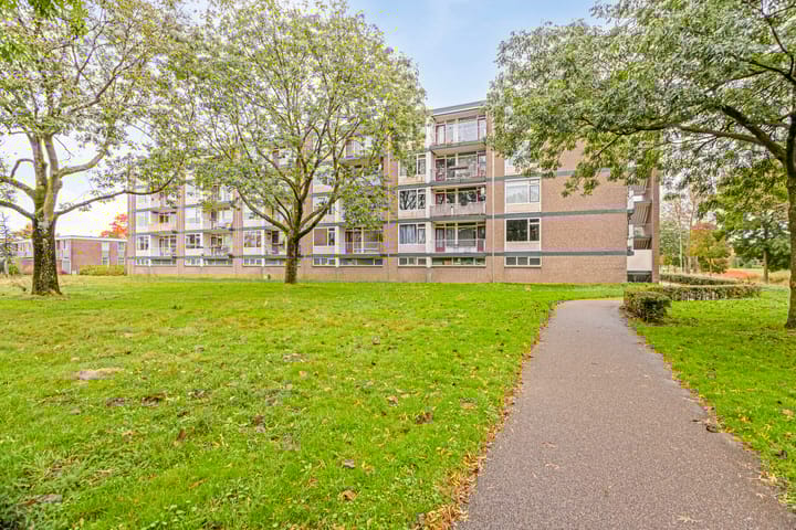 Foto 5 van van Reysstraat 81