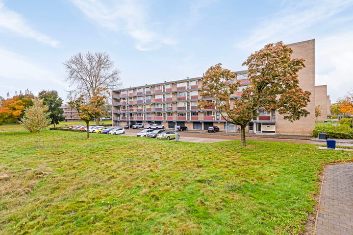 Foto 1 van van Reysstraat 81