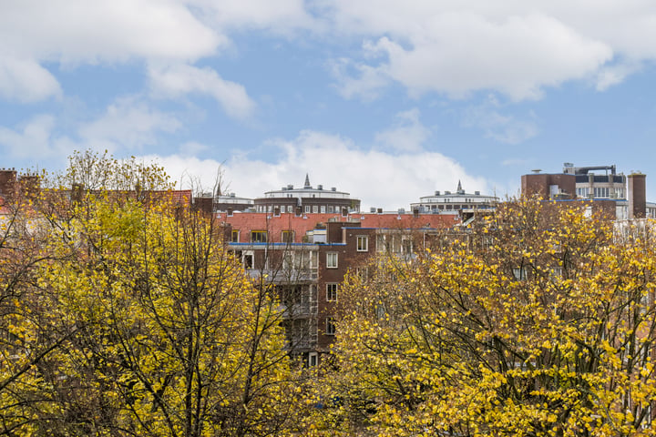 Bekijk foto 17 van Schaepmanstraat 178-B