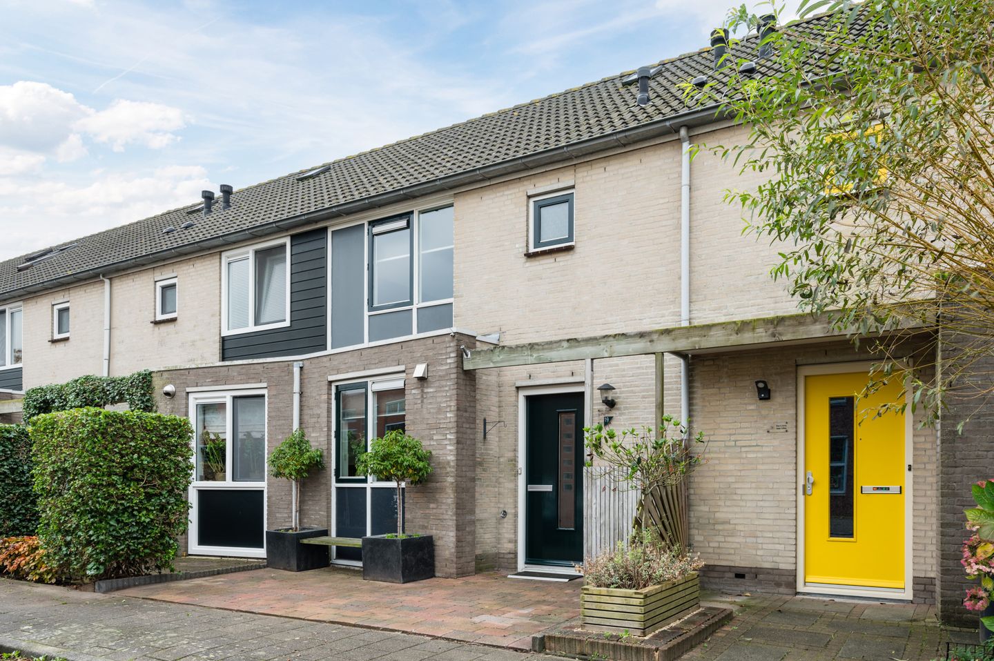 Foto 1 van Paling 19