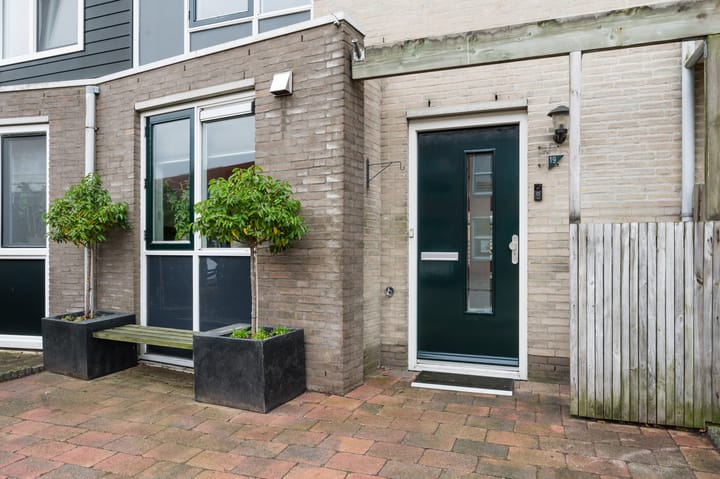 Foto 2 van Paling 19