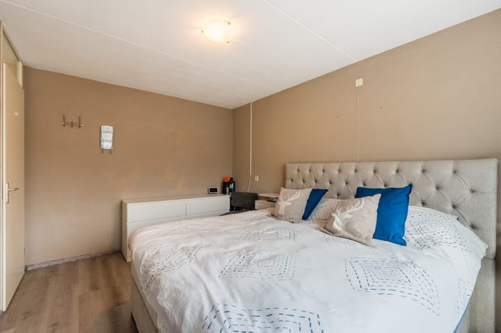 Foto 17 van Paling 19