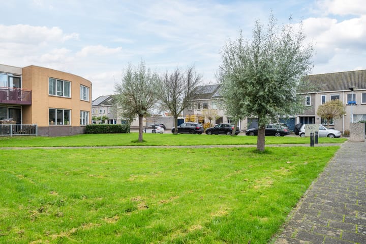 Foto 40 van Paling 19