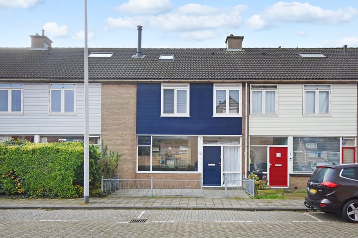 Groene Leeuwstraat 11