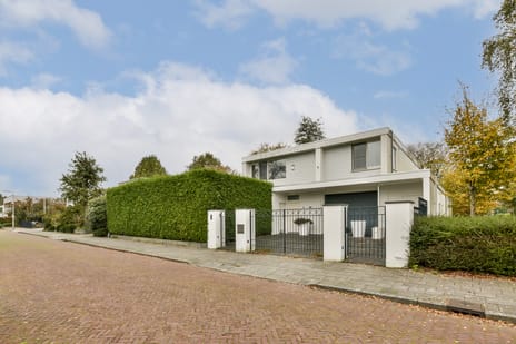 undefined main image