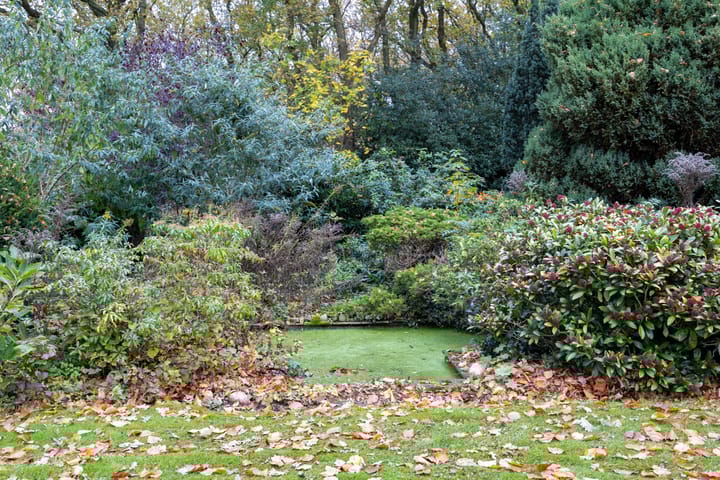 Foto 57 van Fonteinwei 10